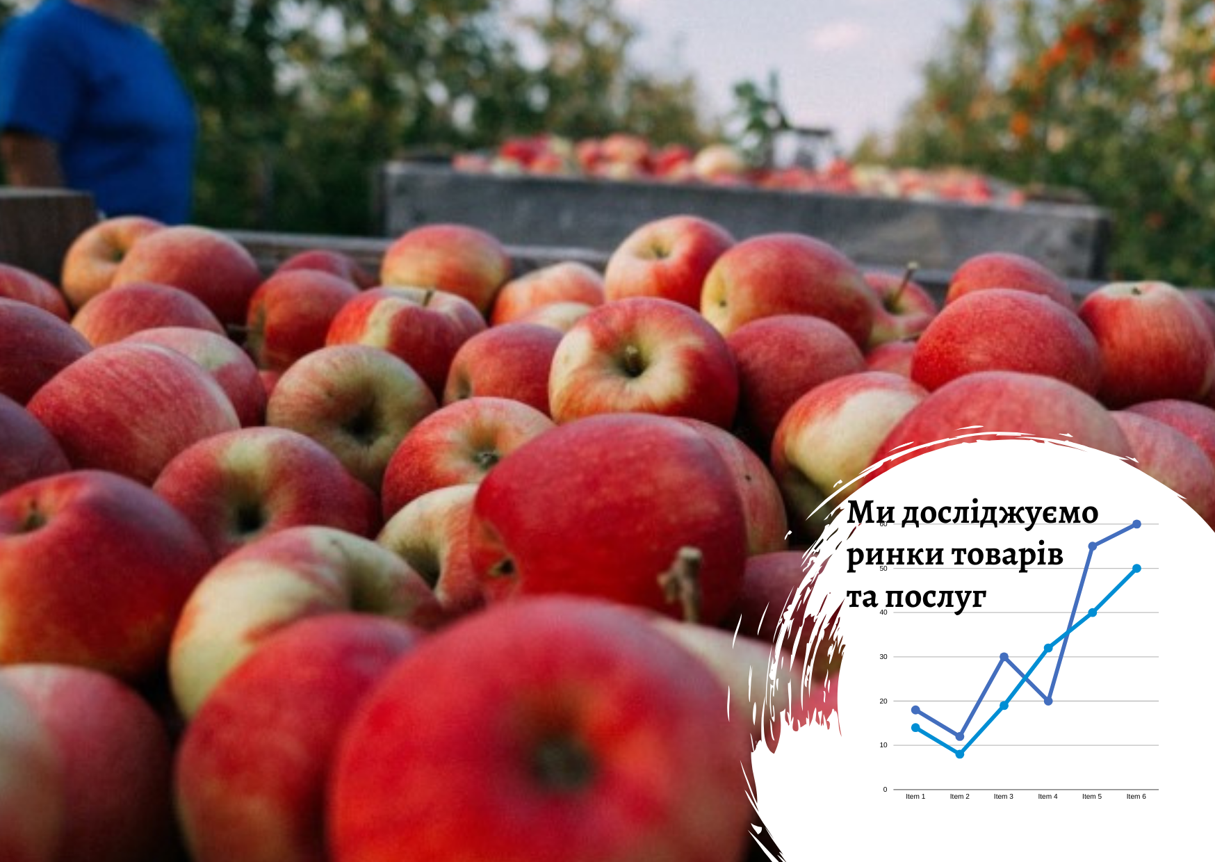 Export of Ukrainian fruits to the UAE and Saudi Arabia: supply dynamics